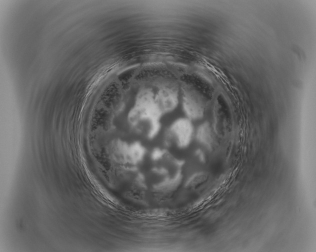 X0000113600049200909181400