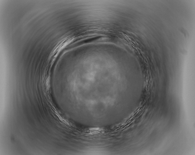 X0000113600050200909181400