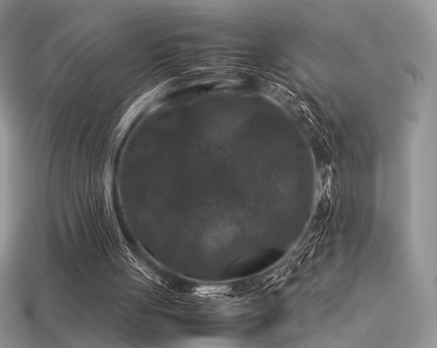 X0000113600051200909181400