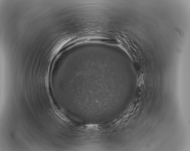 X0000113600052200909181400