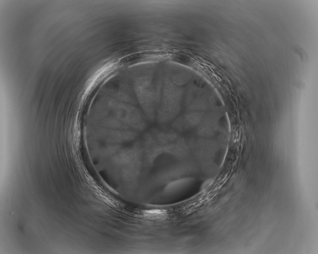 X0000113600053200909181400