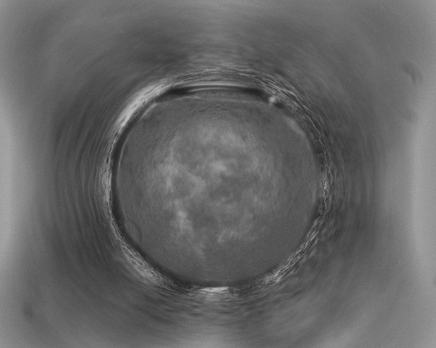 X0000113600054200909181400