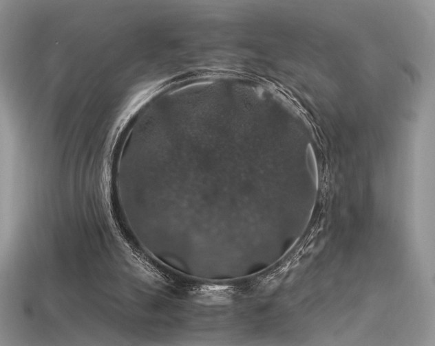 X0000113600055200909181400