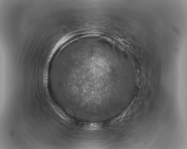 X0000113600056200909181400