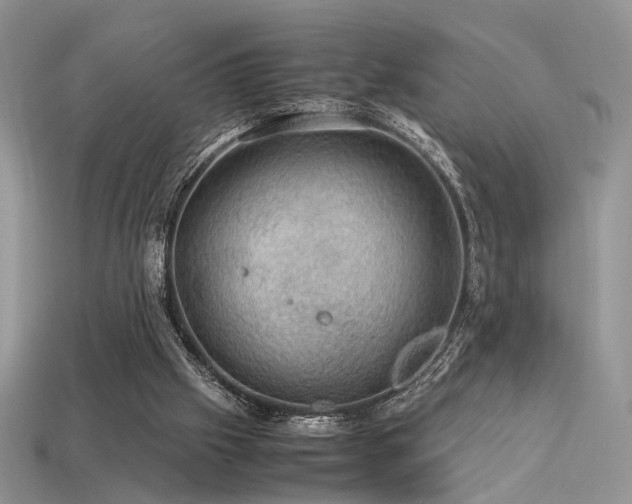 X0000113600057200909181400