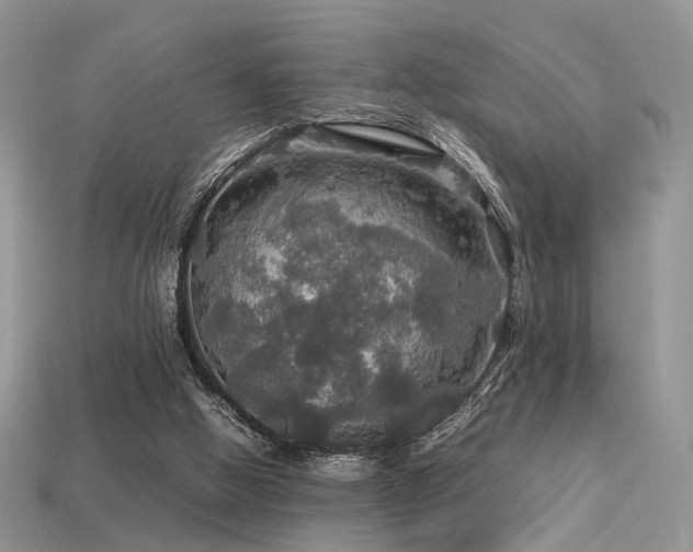 X0000113600058200909181400