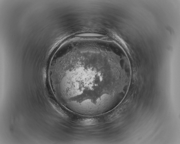 X0000113600059200909181400