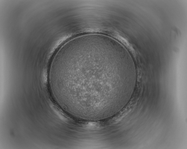 X0000113600060200909181400