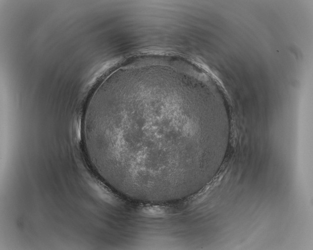 X0000113600062200909181400