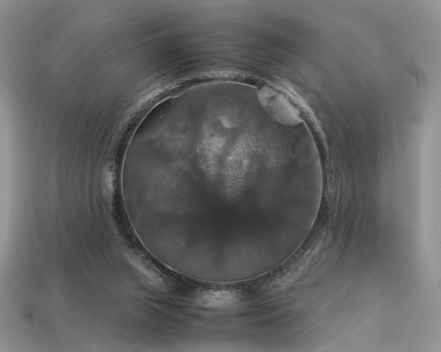 X0000113600063200909181400