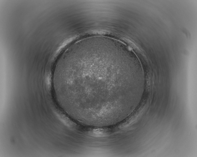 X0000113600064200909181400