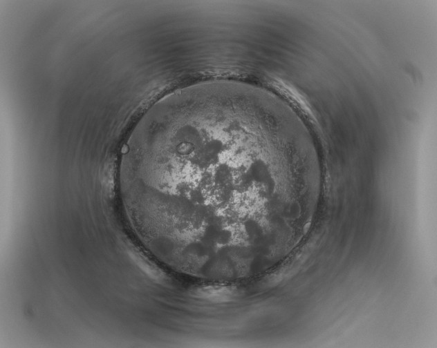 X0000113600065200909181400