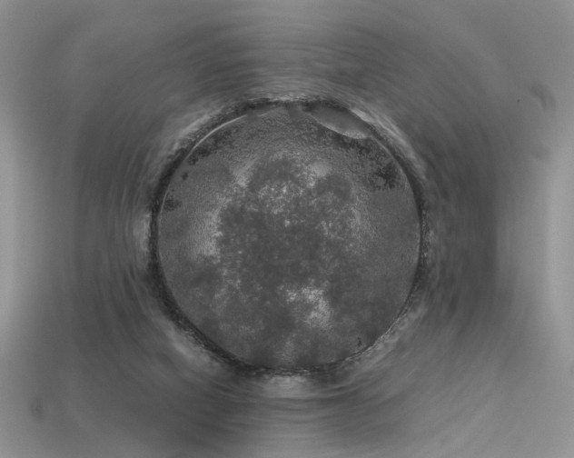 X0000113600066200909181400