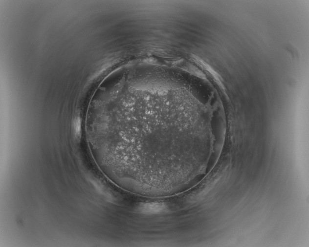 X0000113600067200909181400