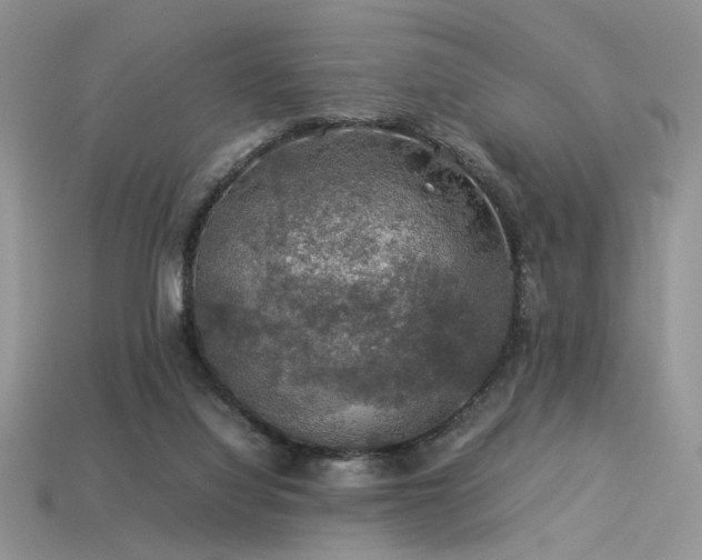 X0000113600068200909181400