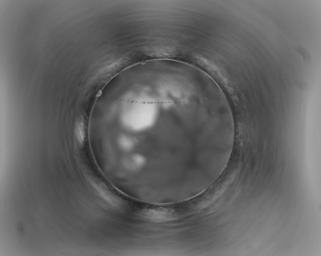 X0000113600069200909181400