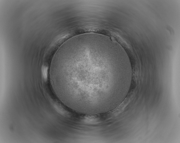 X0000113600070200909181400