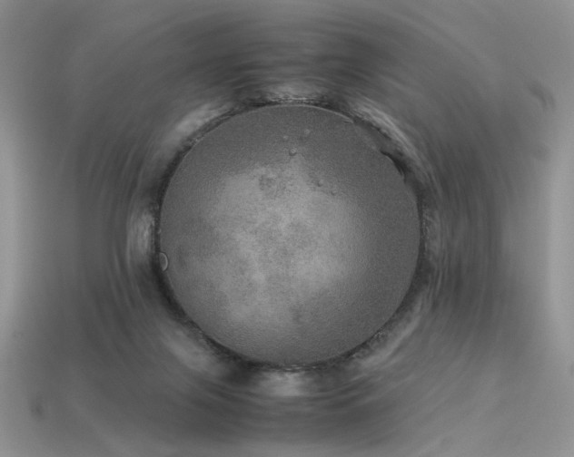 X0000113600071200909181400