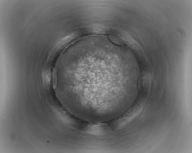 X0000113600072200909181400