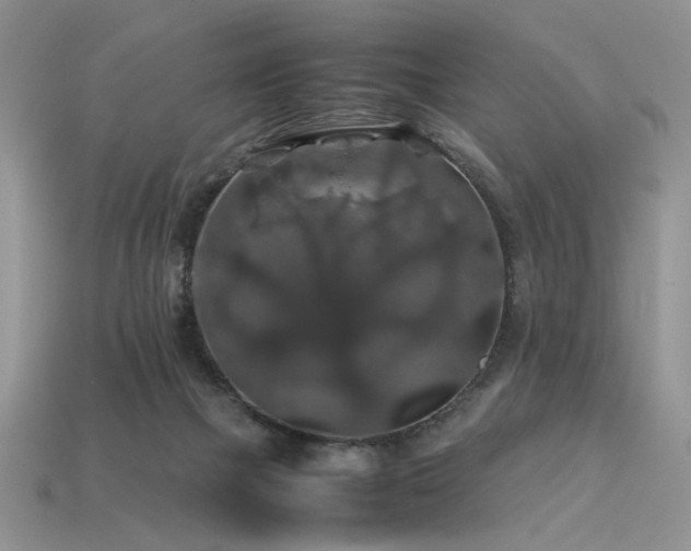 X0000113600073200909181400