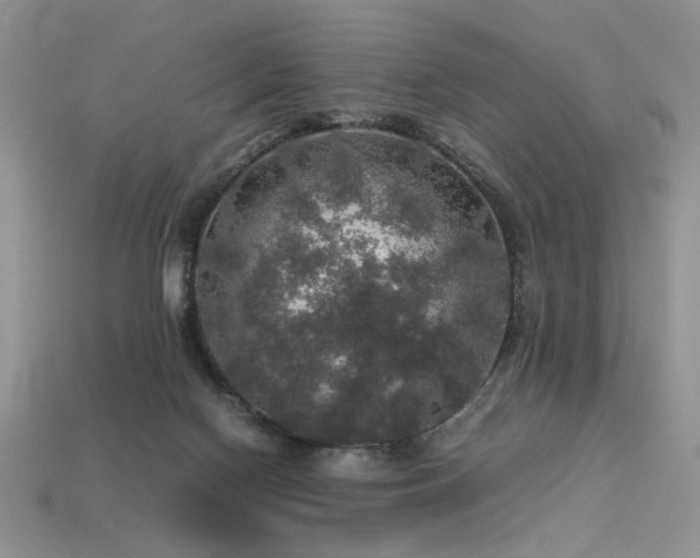 X0000113600074200909181400