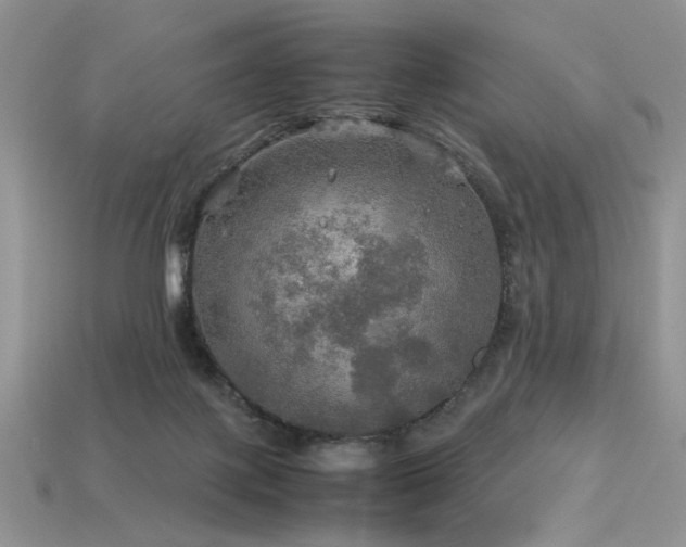 X0000113600075200909181400