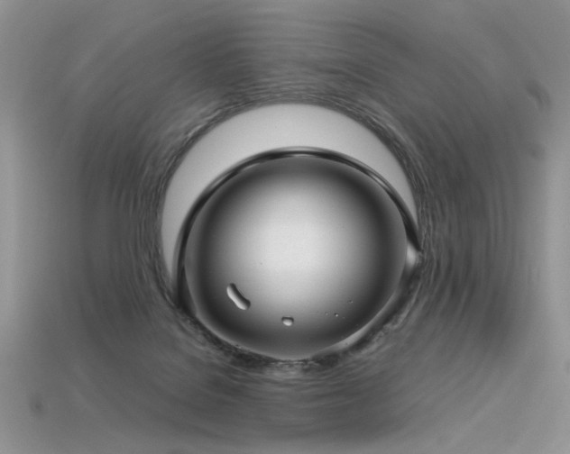 X0000113600076200909181400