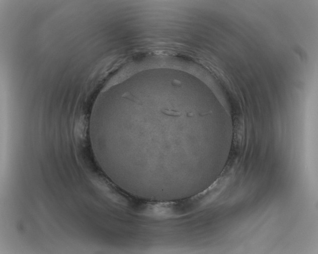 X0000113600078200909181400