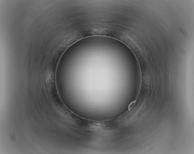 X0000113600079200909181400