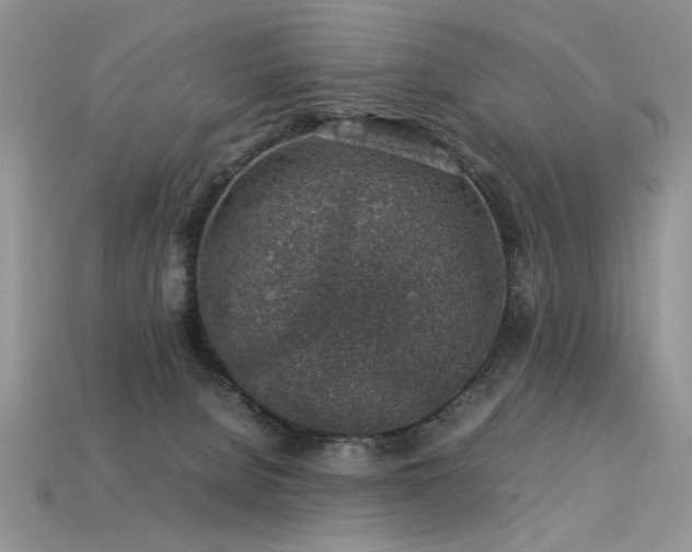 X0000113600080200909181400