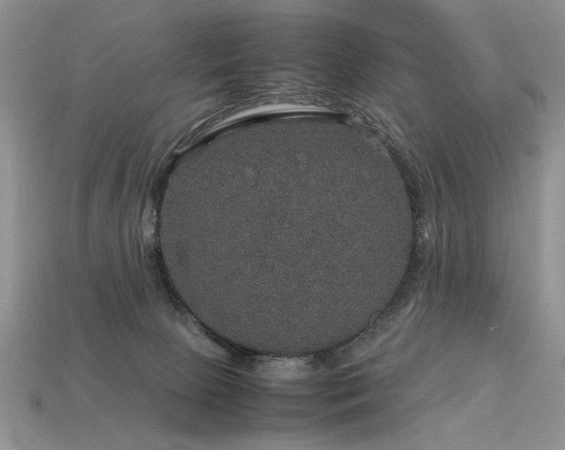 X0000113600081200909181400