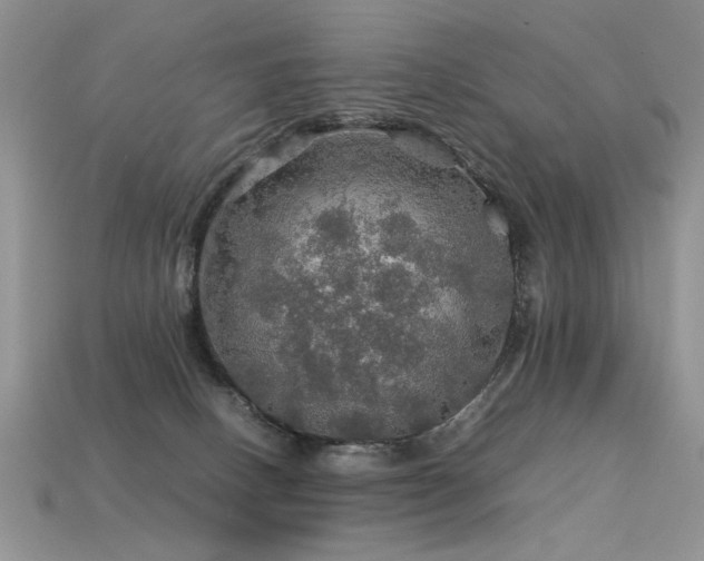 X0000113600082200909181400