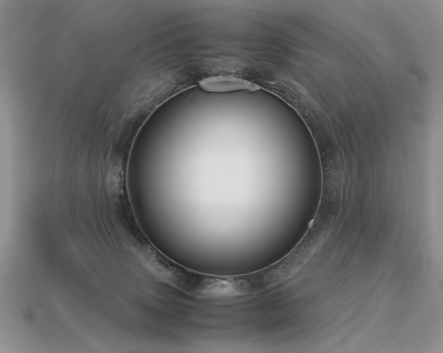 X0000113600083200909181400