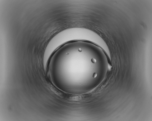 X0000113600084200909181400