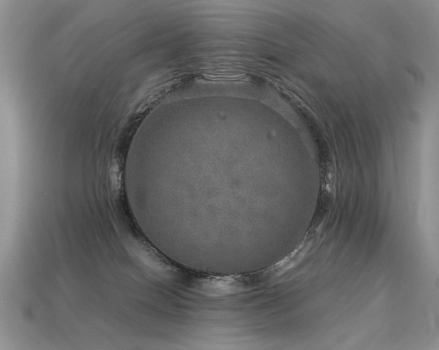 X0000113600086200909181400