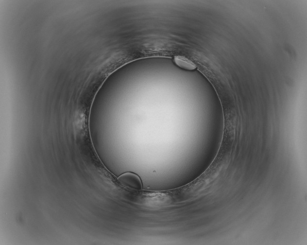 X0000113600087200909181400