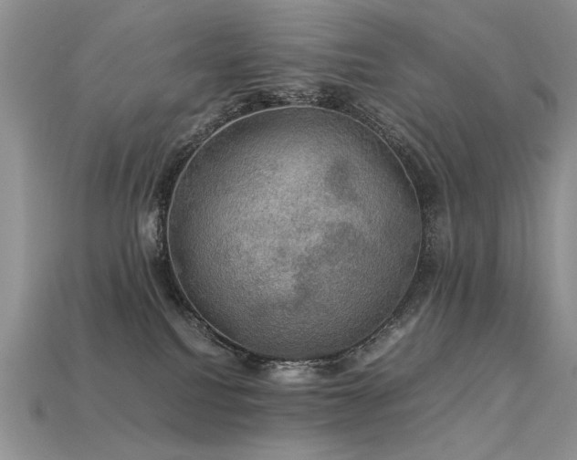 X0000113600088200909181400