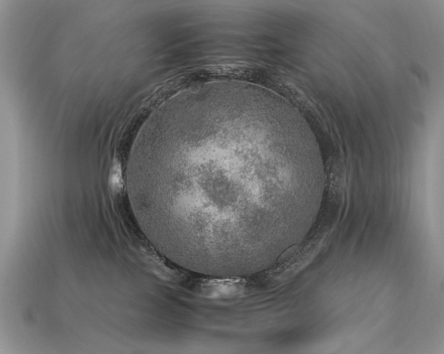 X0000113600089200909181400