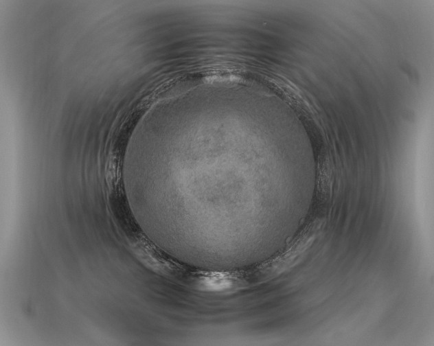 X0000113600091200909181401