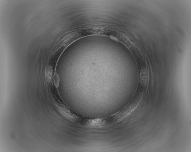 X0000113600092200909181401