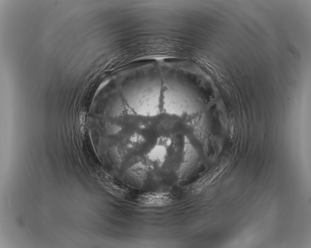 X0000113600093200909181401