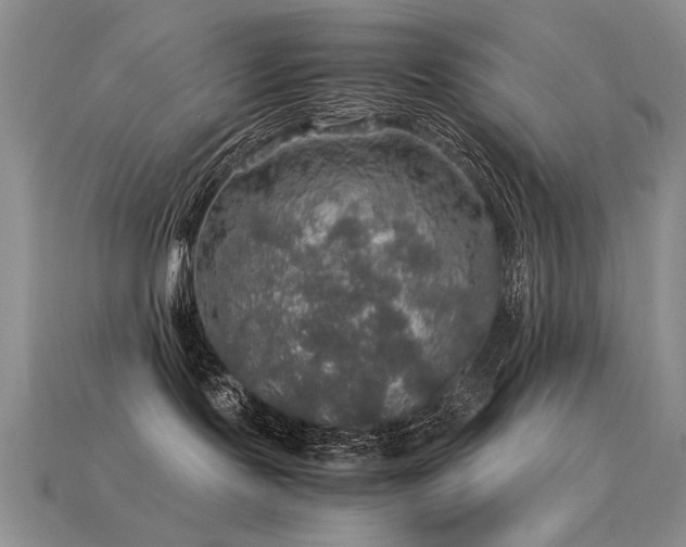 X0000113600095200909181401