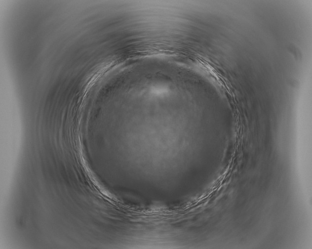 X0000113600097200909181400