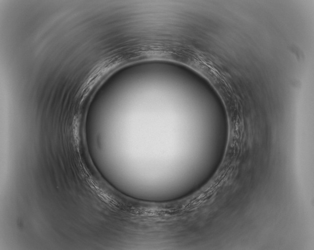 X0000113600098200909181400