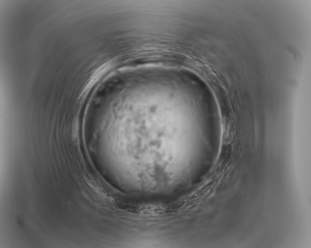 X0000113600099200909181400