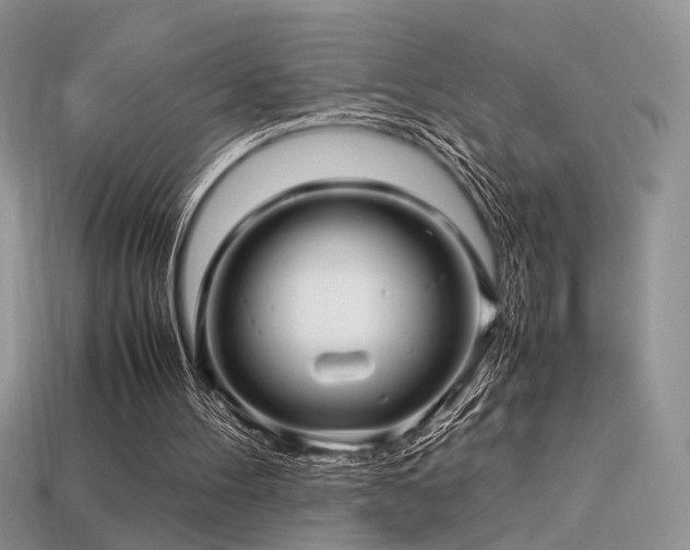 X0000113600100200909181400