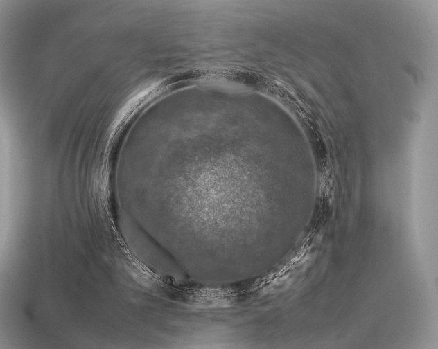 X0000113600101200909181400