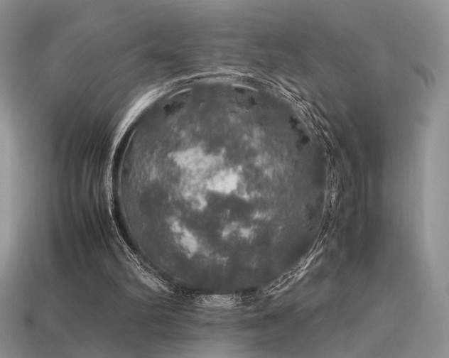 X0000113600102200909181400