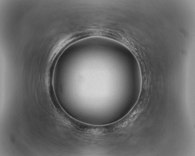 X0000113600103200909181400