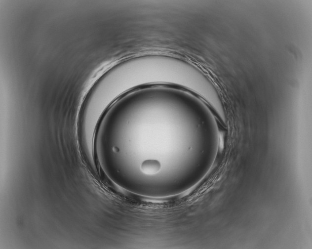 X0000113600104200909181400